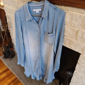 Anthropologie Pilcro and the Letterpress Long Sleeve Denim look Dress, Size M